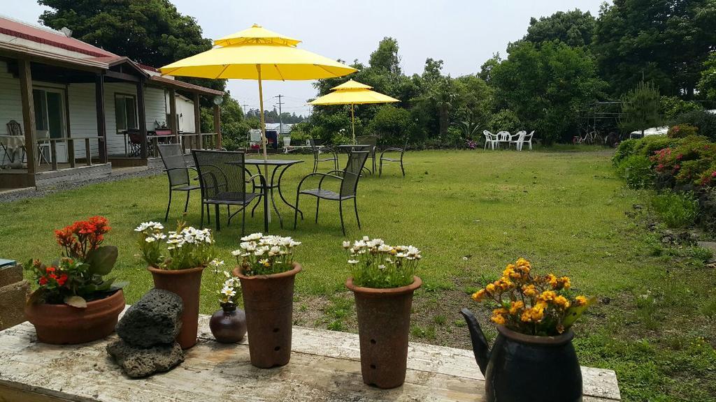 Joseph Tree Guest House Jeju Exterior foto